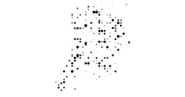 Surreal Circles Swarm to Form Macanese Generative Silhouette