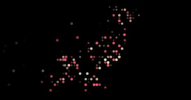 Abstract Flying Dots Build Generative Pakistan Contour Animation