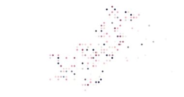 Post-Conceptual Circles Fly Assembling Pakistan's Map Outline