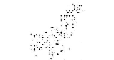 Pakistan Silhouette With Abstract Circle Motion