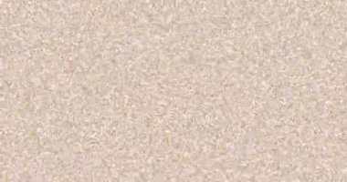 Procedural Triangular Shape Evolution