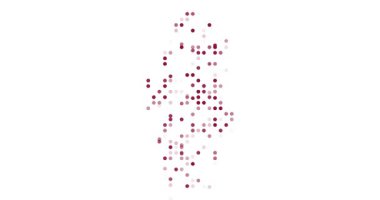 Minimal Generative Qatar Map With Circles