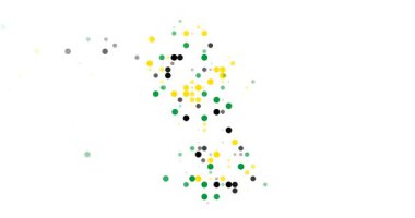 Post-Conceptual Circles Fly Assembling Guyana's Map Outline