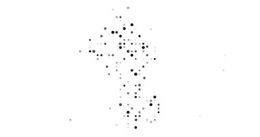 Abstract Circle Swarm Revealing Guyana Map