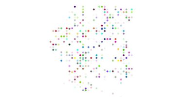 Digital Particles Drift Assembling Ethereal Suriname Map Design