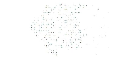 Conceptual flying circles shaping Suriname map