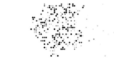 Motion Particles Fly into Ethereal Suriname Contour Formation