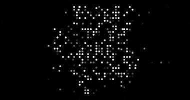 Abstract Flying Dots Build Generative Suriname Contour Animation