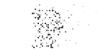 Ethereal Spheres Converge to Sculpt Guyanese Map Silhouette