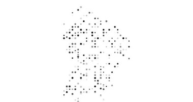 Generative Art Spheres Fly into Post-Conceptual Guyanese Contour