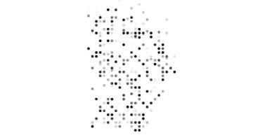 Surreal Circles Swarm to Form Guyanese Generative Silhouette