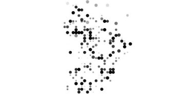 Identity Through Circles of French Guiana Silhouette