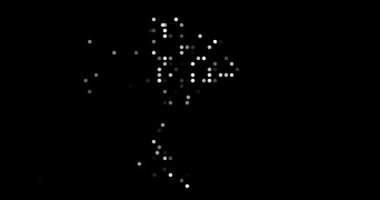 Post-Conceptual Circles Fly Assembling Thailand's Map Outline