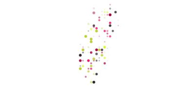 Generative Circle Animation Builds Taiwan Outline