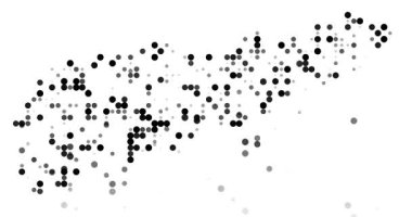 Generative Art Circles Outline Timor Leste