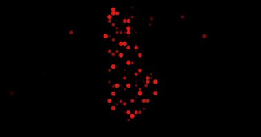 Post-Conceptual Circles Converge Crafting Abstract Albanian Map