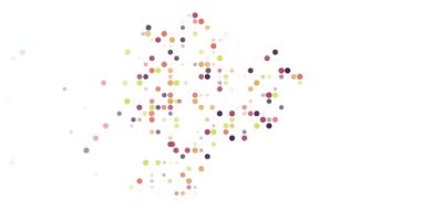 Post-Conceptual Circles Converge Crafting Abstract Ecuadorian Map