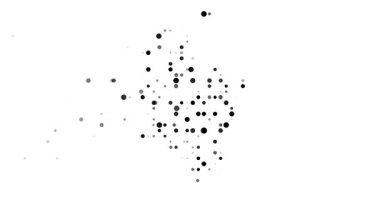 Post-Conceptual Circles Fly Assembling Colombia's Map Outline