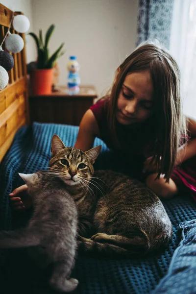 Jahre Kleines Mädchen Bezahlt Mit Den Kätzchen Auf Dem Bett — Stockfoto