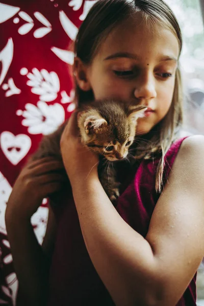 Anos Menina Pagando Com Gatinhos — Fotografia de Stock