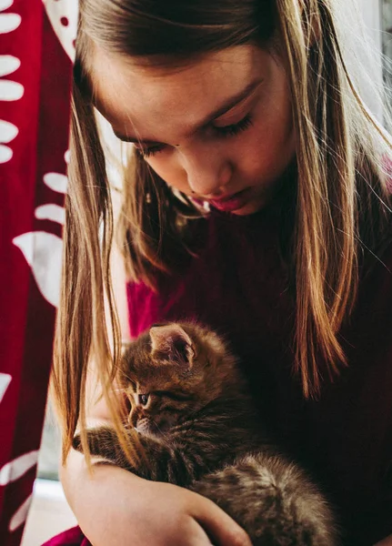 Anos Menina Pagando Com Gatinhos — Fotografia de Stock