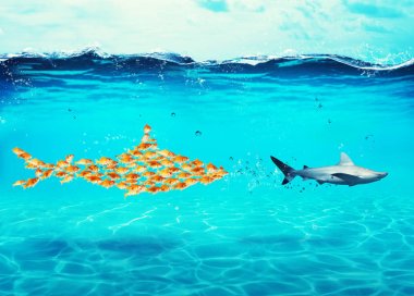 Büyük köpek balığı goldfishes krizinden gerçek bir köpekbalığı yaptı. Gücü, takım çalışması ve ortaklık kavramdır birlik