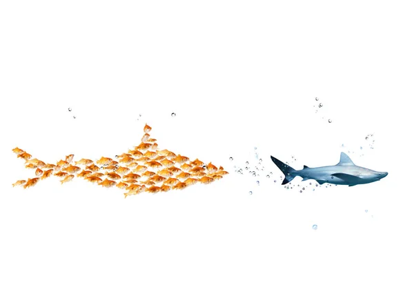 Un tiburón grande hecho de peces de colores ataca a un tiburón de verdad. El concepto de unidad es fuerza, trabajo en equipo y asociación — Foto de Stock