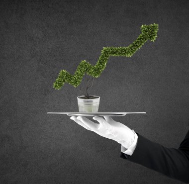 Hayatinizda ok gibi şeklinde bir bitki ile bir tepsi tutan garson. Kavram iş başarı