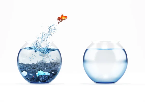 Melhoria e conceito em movimento com um peixe-dourado pulando de um aquário sujo para um limpo — Fotografia de Stock