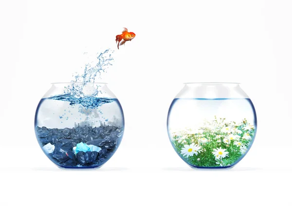 Verbetering en bewegende concept met een goudvis springen van een vuile aquarium naar een schone — Stockfoto