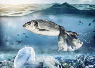 Yüzen bir torba tarafından kapana kısılmış balık. Deniz konsepti altında plastik kirliliği sorunu