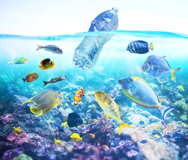 Balıklar yüzen bir şişe seyrederken. Deniz konsepti altında plastik kirliliği sorunu.