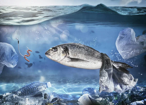 Csapdában hal egy úszó táska. Probléma a műanyag szennyezés a tengeri koncepció — Stock Fotó