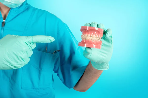Zahnarzt zeigt, wie man eine Zahnspange anlegt. Anatomie, Halt. — Stockfoto