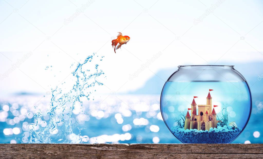 Goldfish leaps from the sea to go to a luxurious aquarium with castle