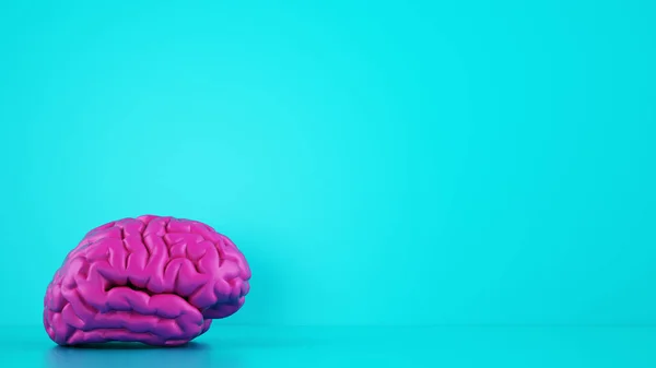 Cervello color magenta su sfondo ciano. Concetto medico. Rendering 3D — Foto Stock