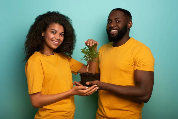 O par feliz protege uma pequena árvore. Conceito de florestação, ecologia e conservação — Fotografia de Stock