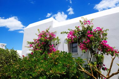 Villa lüks otel ve çiçekler, Crete, Yunanistan