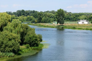 Bila Tserkva, Ukrayna - 15 Temmuz: Triathletes Uluslararası triatlon Yarışması - Bila Tserkva Kupası şehir ve 15 Temmuz 2018 yılında Bila Tserkva, Ukrayna Ukrayna Kupası turnuvası sırasında yüzme bileşeninde rekabet.
