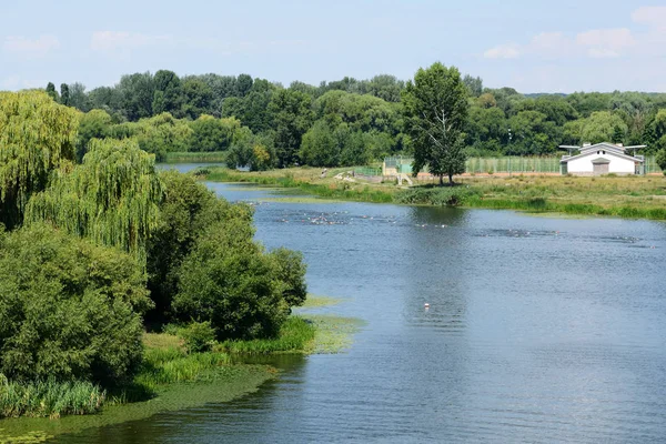 Bila Tserkva, Ukrayna - 15 Temmuz: Triathletes Uluslararası triatlon Yarışması - Bila Tserkva Kupası şehir ve 15 Temmuz 2018 yılında Bila Tserkva, Ukrayna Ukrayna Kupası turnuvası sırasında yüzme bileşeninde rekabet.
