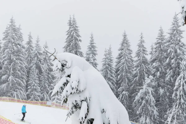 Sciatore Pista Nella Località Sciistica Bukovel Ucraina — Foto Stock