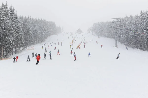 Skiër Piste Bukovel Skigebied Oekraïne — Stockfoto