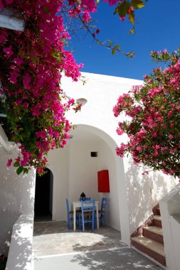 Geleneksel Yunan tarzı bir otel binası ve Bougainvillea çiçekleri, Santorini Adası, Yunanistan