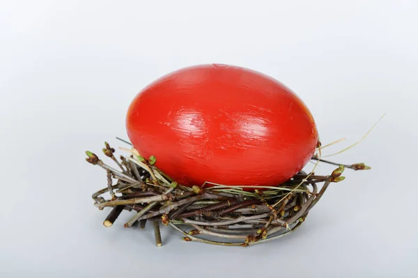 The nest with big red painted ostrich easter egg — Stock Photo, Image