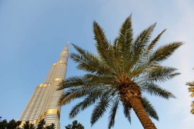Gün batımında Burç Halife gökdeleninin manzarası ve palmiye ağacı, Dubai, Bae 