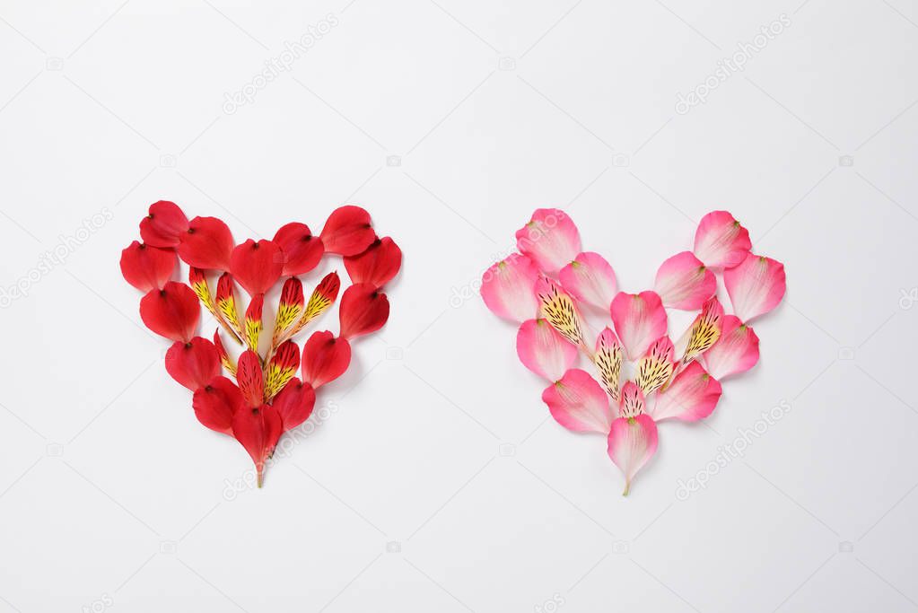 The heart shapes made from red and pink petals of flowers of Alstroemeria 