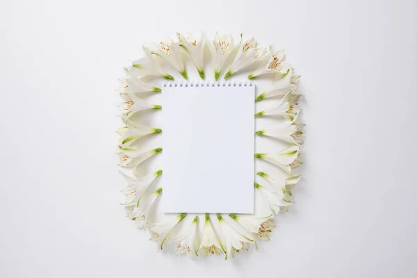 The notebook surrounded by white Alstroemeria flowers and text space — Stock Photo, Image