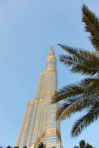 La vista sobre Burj Khalifa rascacielos en la puesta del sol y la palmera, Dubai, Emiratos Árabes Unidos — Foto de Stock