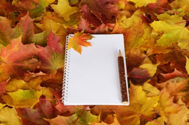 Not defteri, kalem ve turuncu sarı ve kırmızı akçaağaç yaprakları.