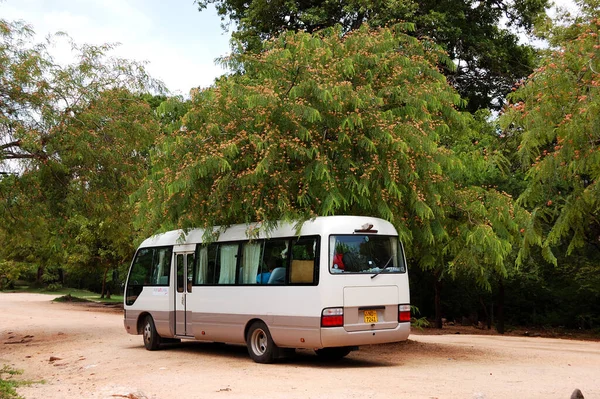 Polonnaruwa Ottobre Autobus Trasporto Turistico Vicino Rankoth Vehera Stupa Polonnaruwa — Foto Stock